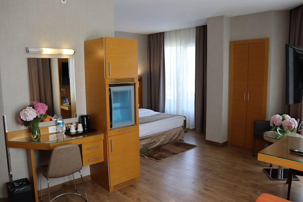 A hotel room with a bed, a desk with a chair, a TV, a wardrobe, and a mirror.