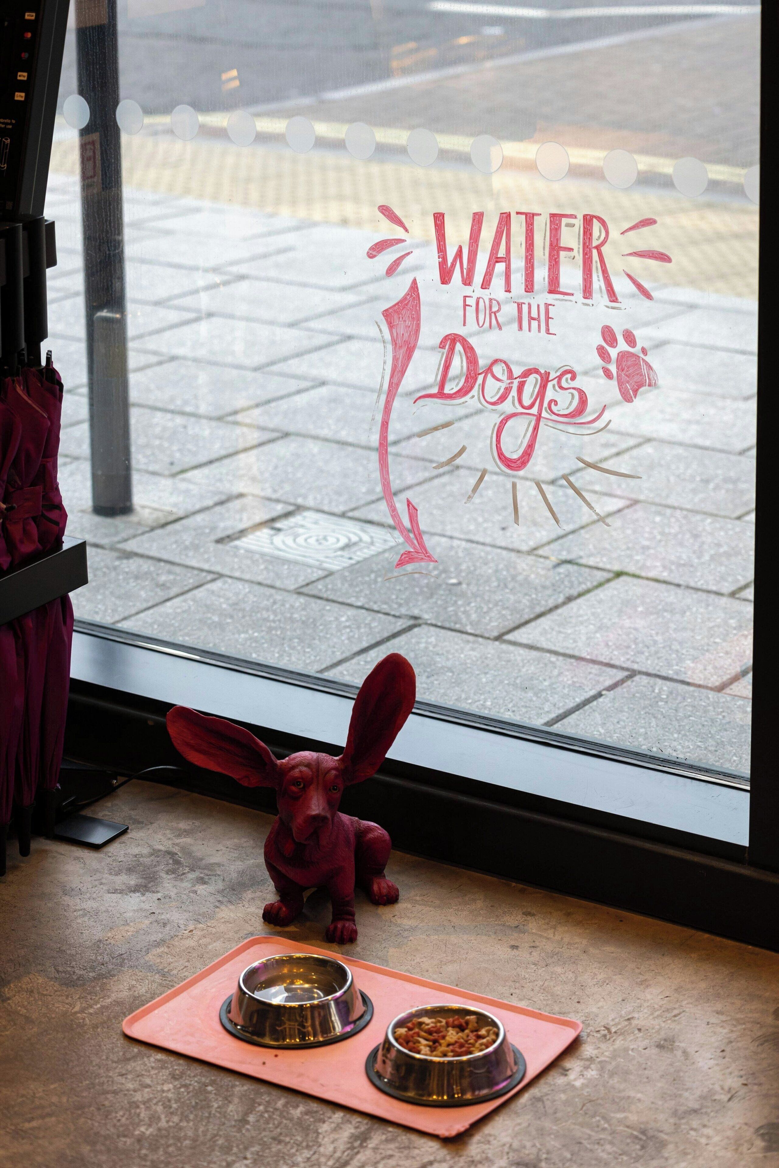 Uma janela com um letreiro que diz "WATER FOR THE DOGS" e uma estatueta de cachorro sobre um tapete com duas tigelas.