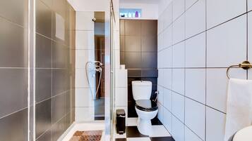 A modern bathroom with a glass shower enclosure, a toilet, and a sink.