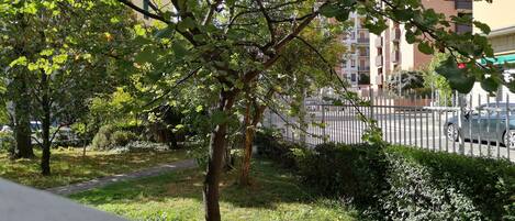 Comfort-Vierbettzimmer, Gartenblick | Ausblick vom Zimmer