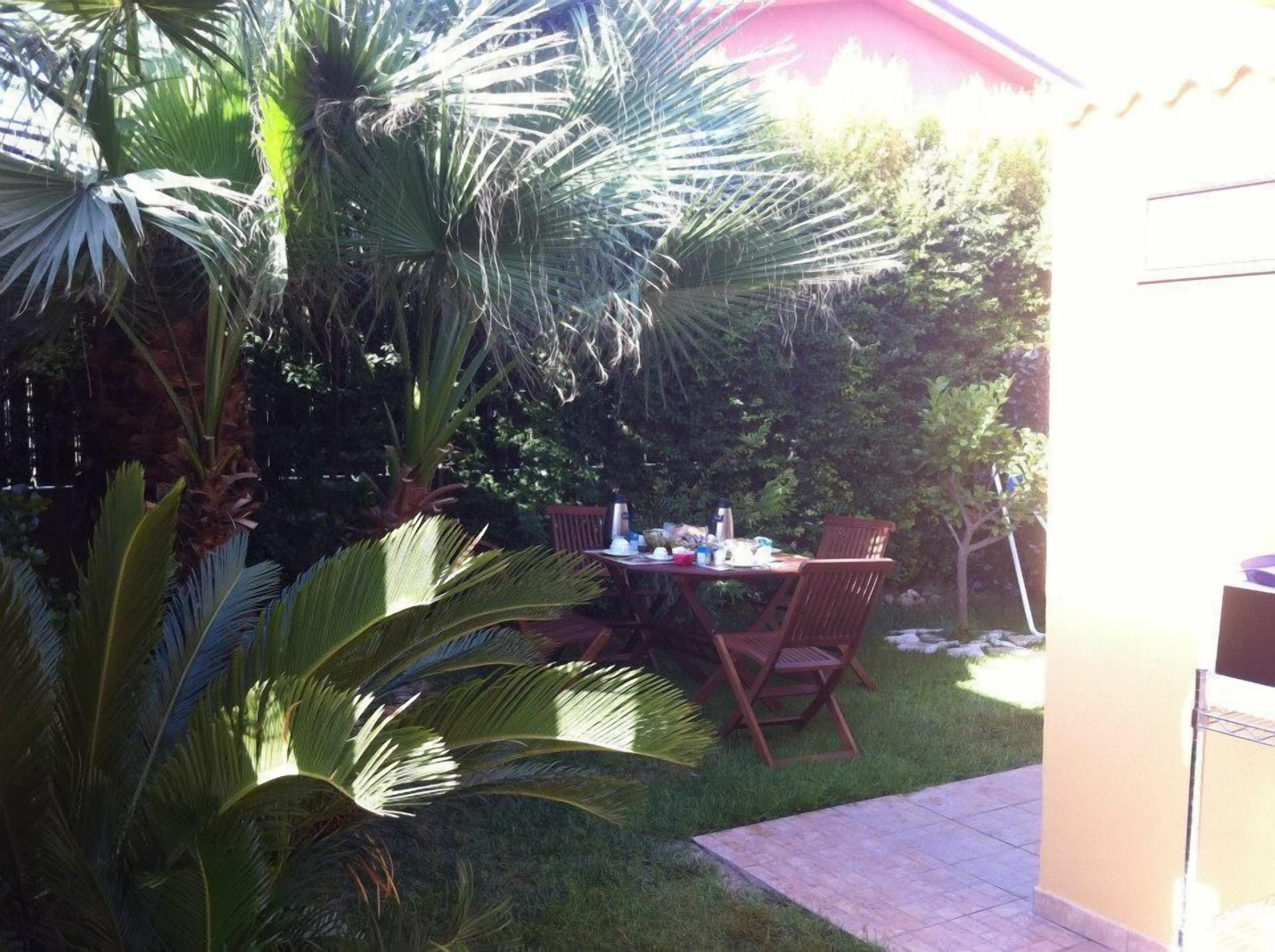 A patio with a table and chairs, surrounded by lush greenery and a palm tree.