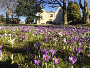 Terrain de l’hébergement 