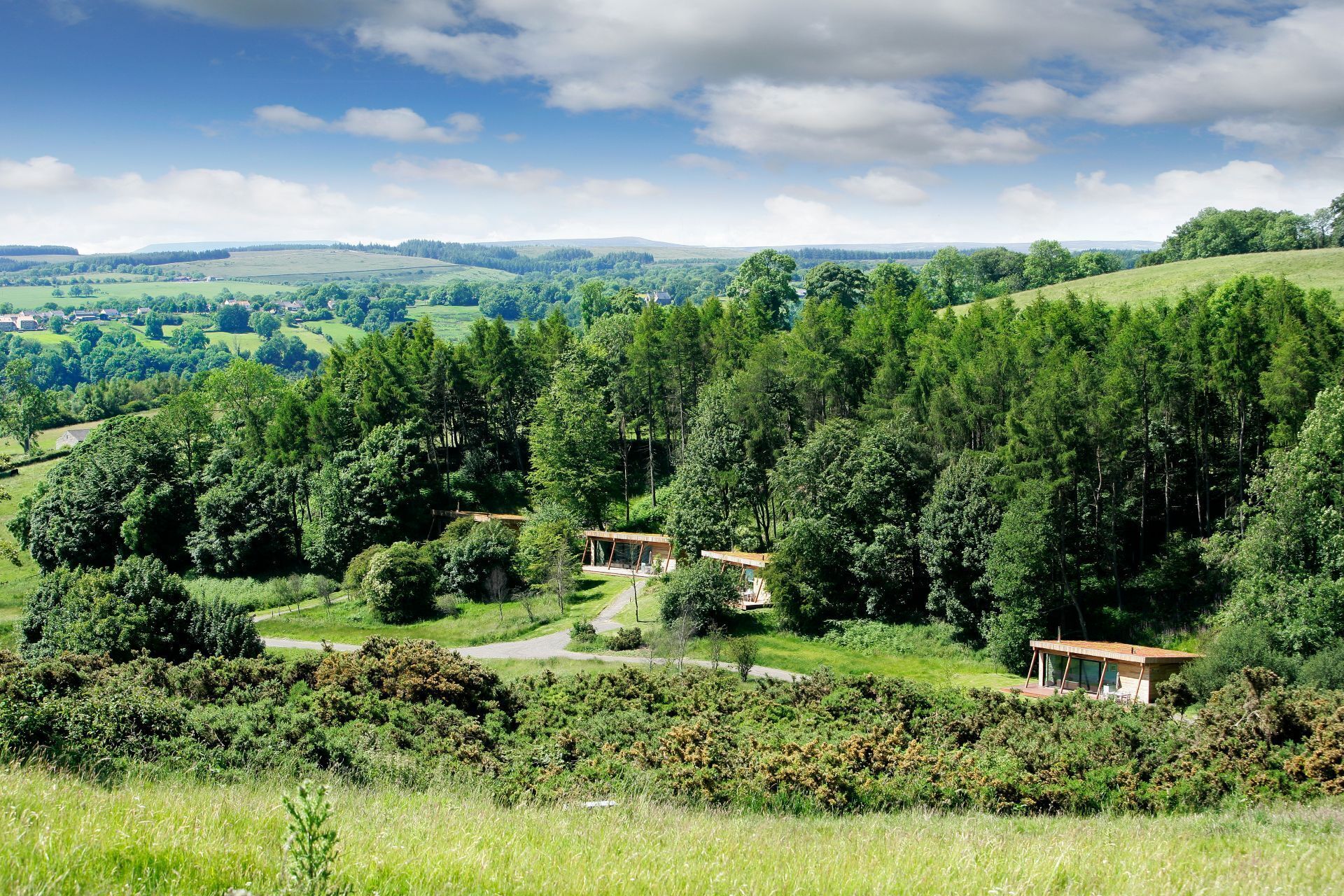 Un paysage rural avec une maison moderne entourée d’une forêt dense.
