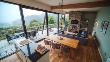 Flat-screen TV, fireplace, DVD player