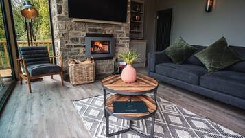 TV, fireplace, DVD player