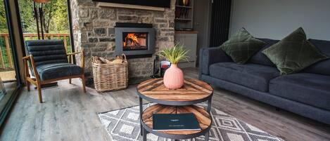 Fernseher, Kamin, DVD-Player