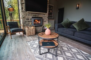 Televisie, een open haard en een dvd-speler