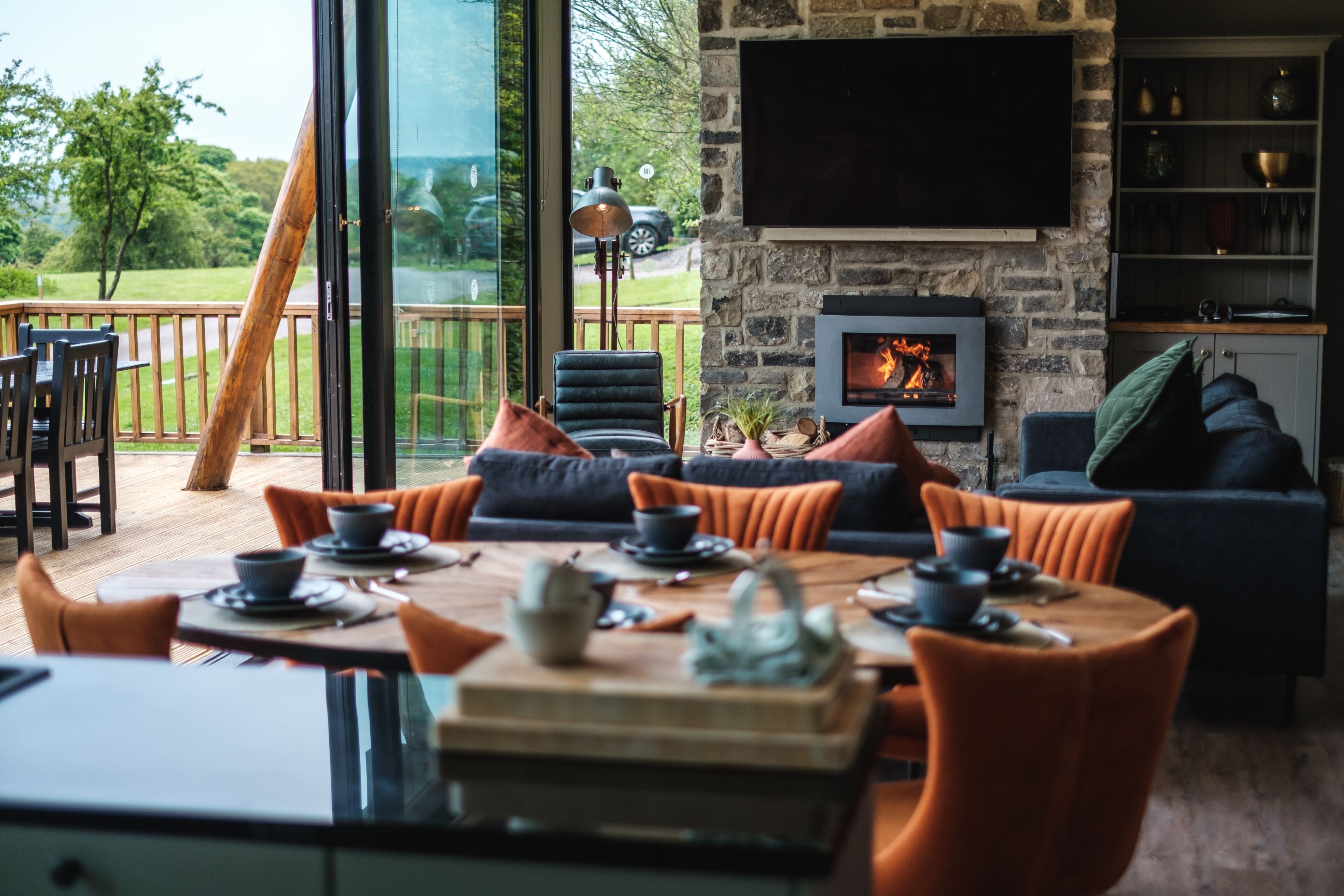 TV, fireplace, DVD player