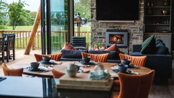 TV, fireplace, DVD player