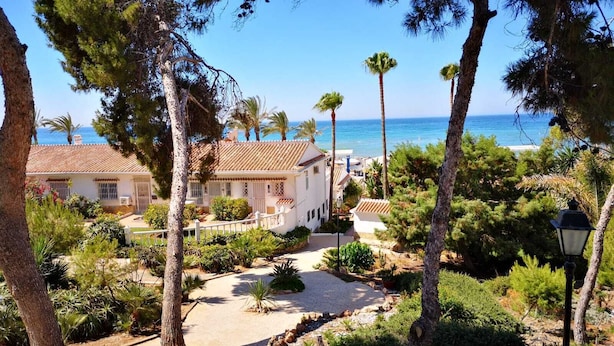 A coastal property with a paved driveway, white fences, and a variety of trees including palm and pine.