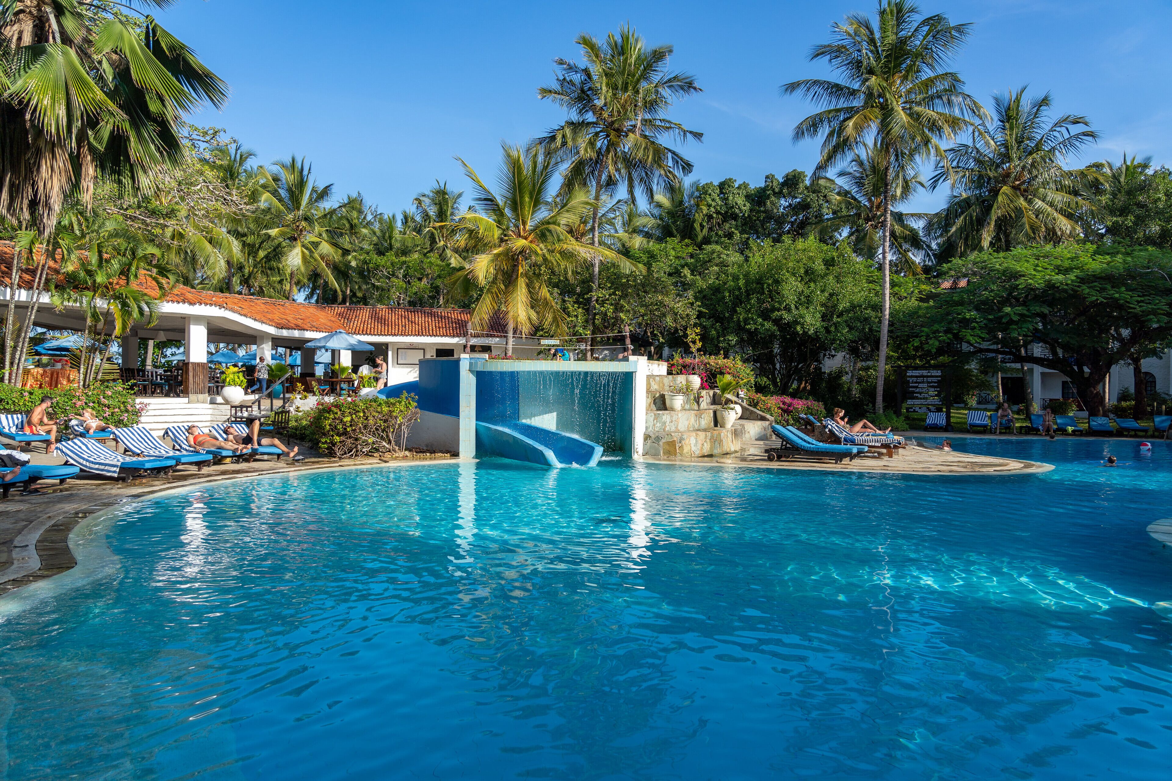 outdoor pool, pool loungers