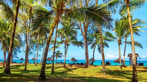 Una spiaggia con palme, lettini e ombrelloni di paglia.