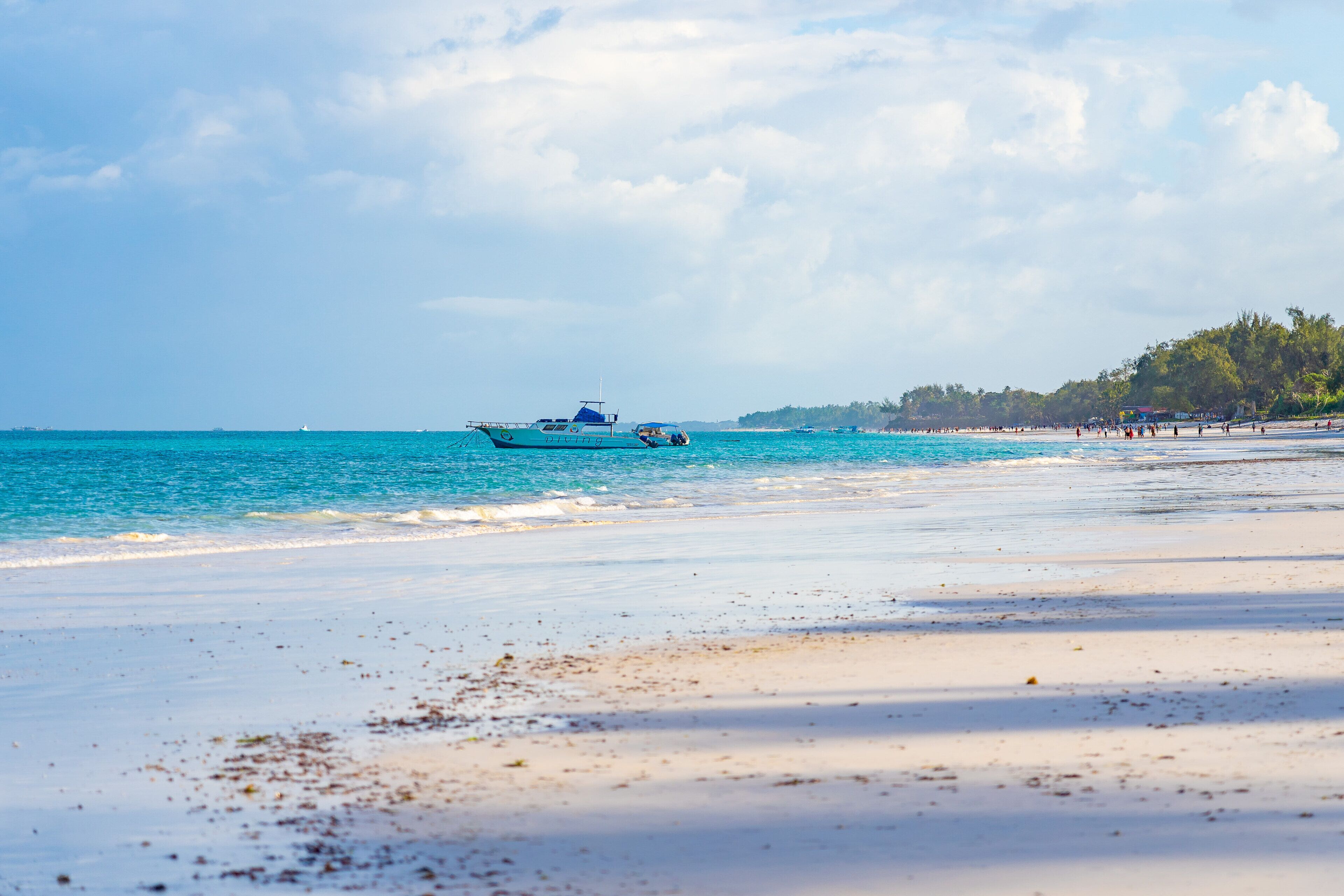 A beach with a boat in the water, a sandy shore, and a line of trees in the background.
