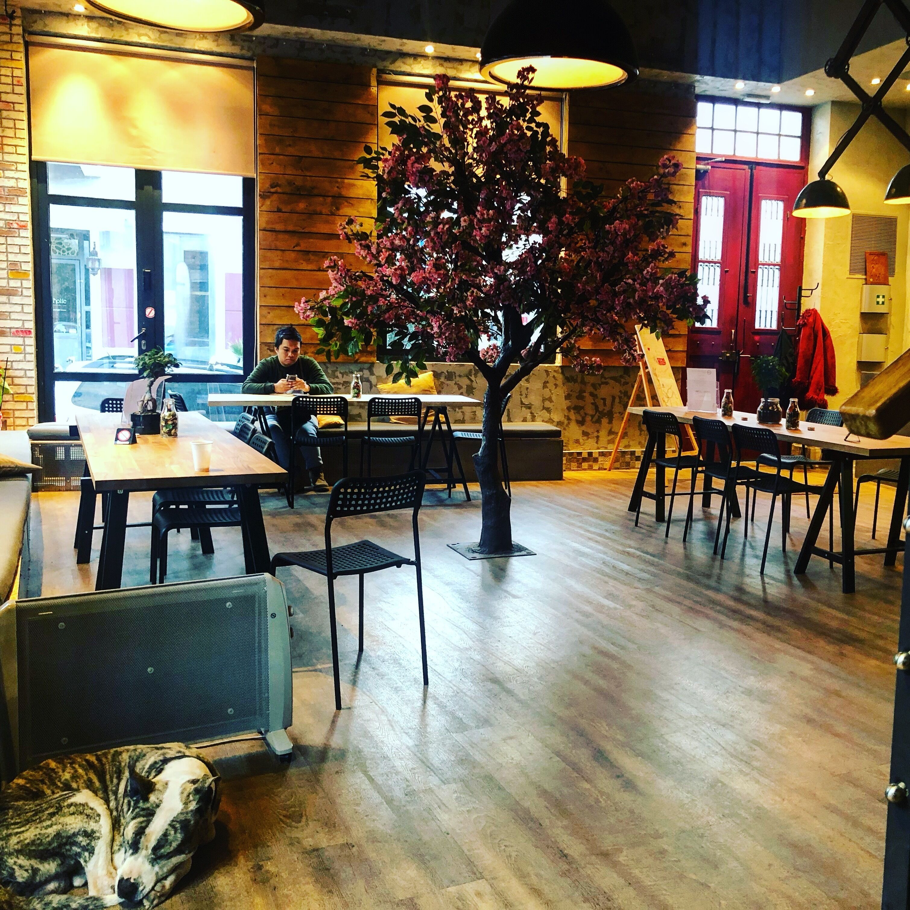 Foto - Iconic Athens Hostel