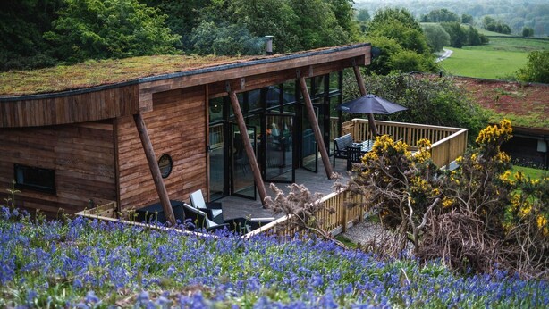 Eine moderne Holz-Blockhütte mit Glasfassade, einer Terrasse mit Sitzgelegenheit und einem üppigen Garten mit blauen Blumen.