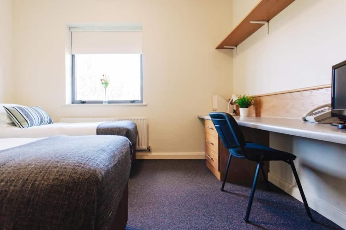 Una habitación pequeña y ordenada con cama, escritorio, silla y ventana con planta.