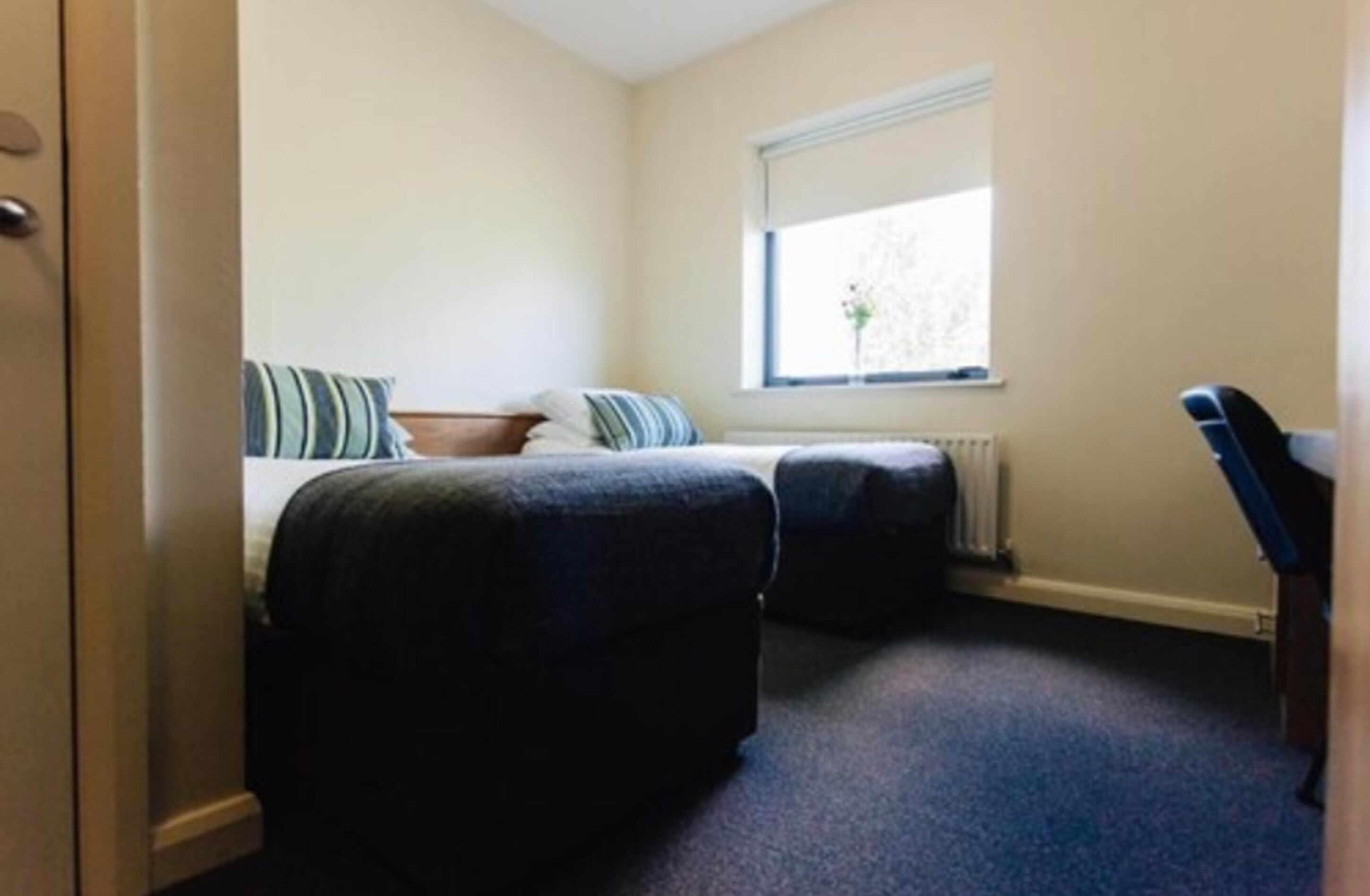superior apartment, 5 bedrooms | desk, free wifi, bed sheets