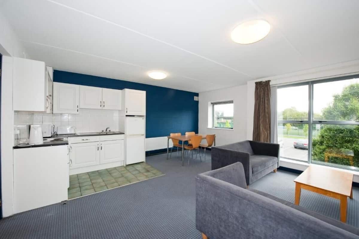 superior apartment, 5 bedrooms | private kitchen | fridge, microwave, oven, stovetop