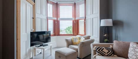 Taulutelevisio, DVD-soitin