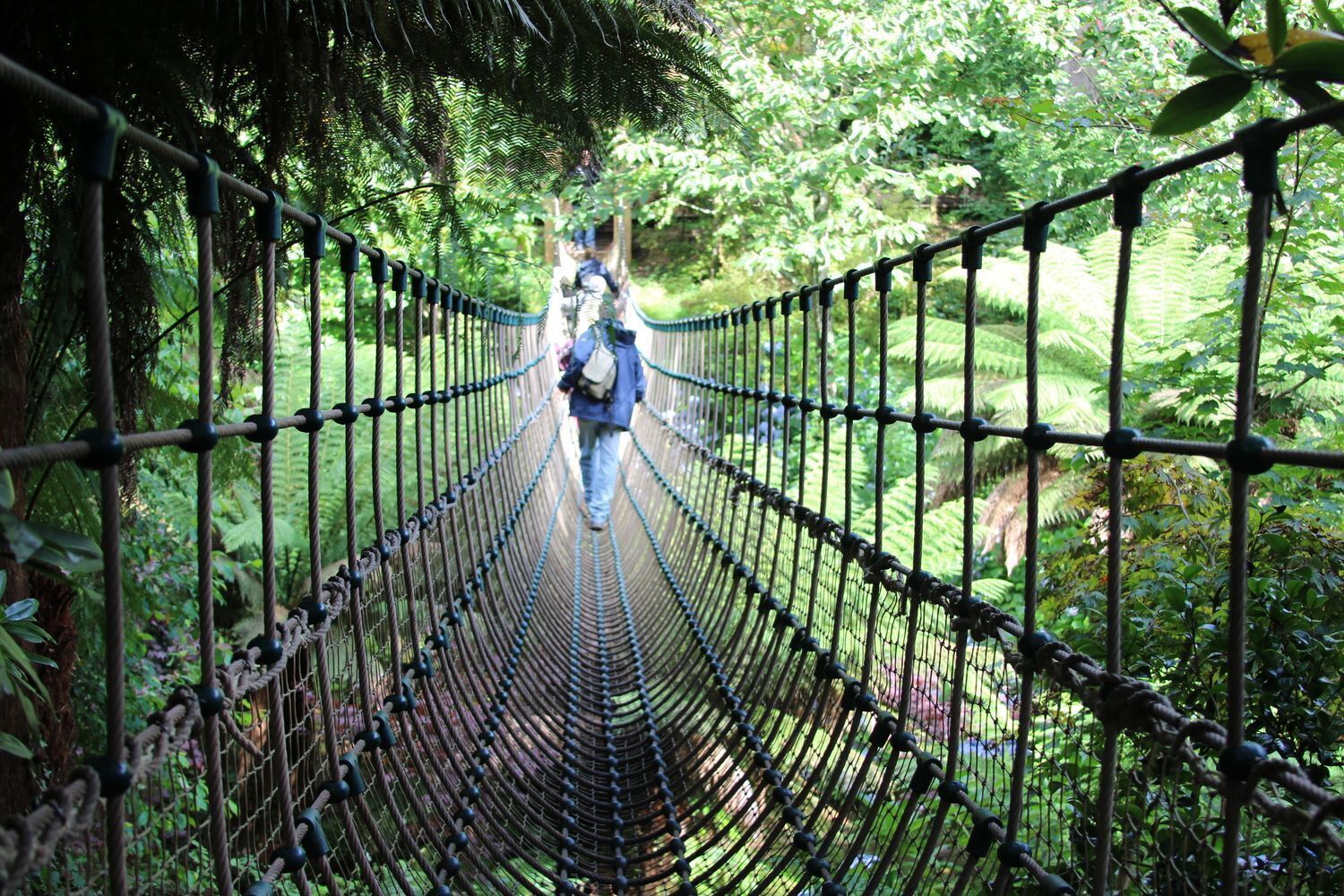 Un puente colgante en un entorno forestal exuberante.