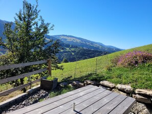 Property grounds - Le Mazot de Marie - Detached chalet 6 pers Mont Blanc view (FLUMET)