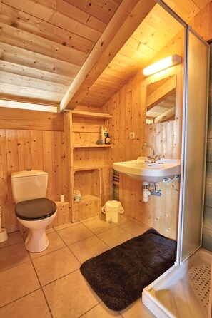 Shower, hair dryer - Le Mazot de Marie - Detached chalet 6 pers Mont Blanc view (FLUMET)