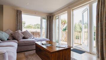 Flachbildfernseher, DVD-Player