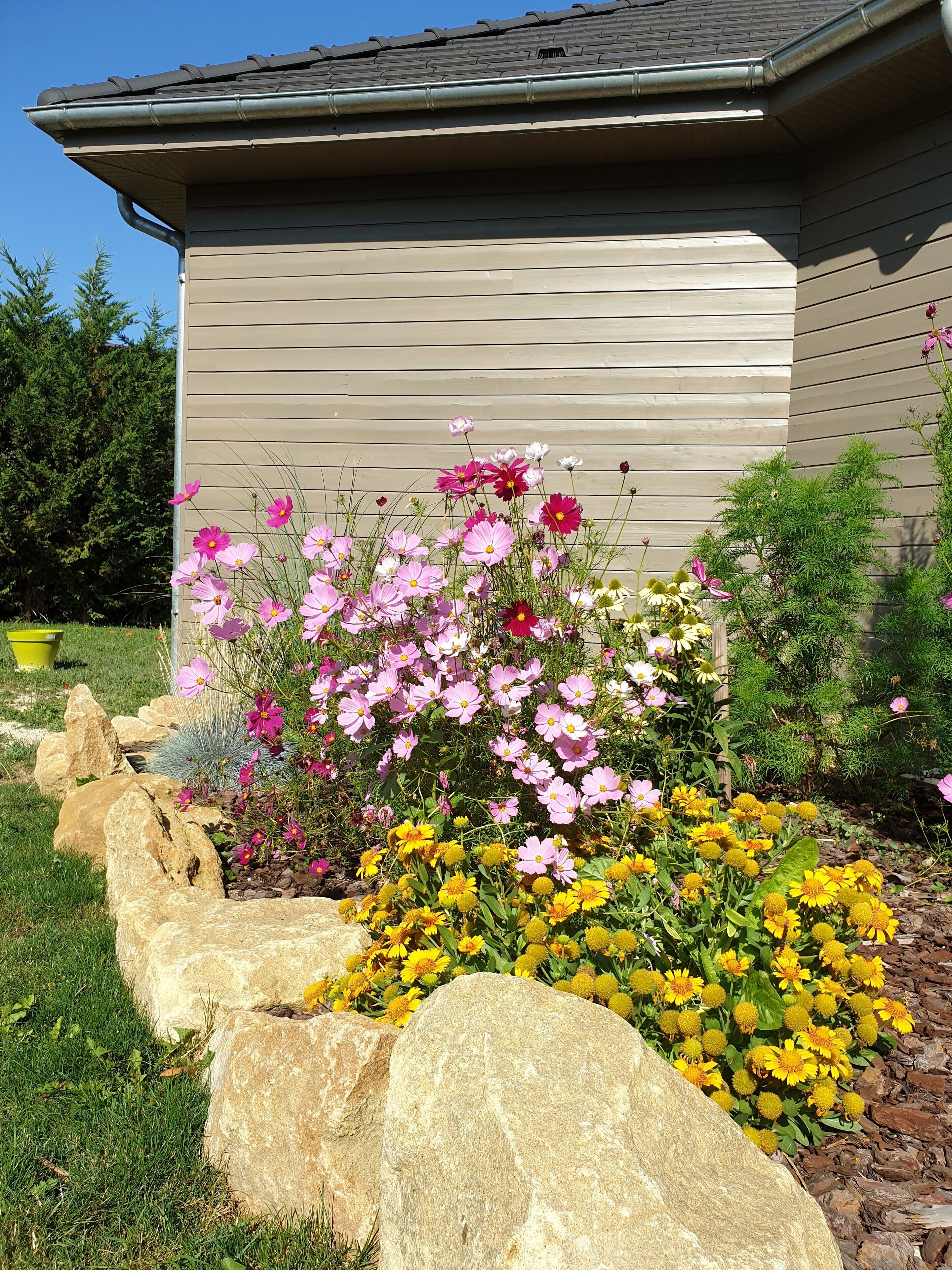 A garden with pink and yellow flowers, a stone border, and a house with a brown exterior.