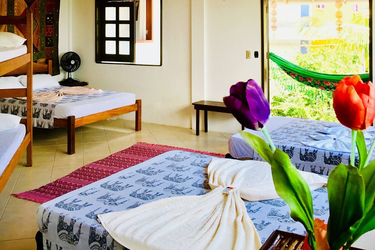 Una habitación con literas, un ventilador, una ventana con vista a follaje y una tulipán roja en un florero.