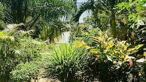 Un jardin agrémenté de diverses plantes tropicales et doté d’un chemin pavé.