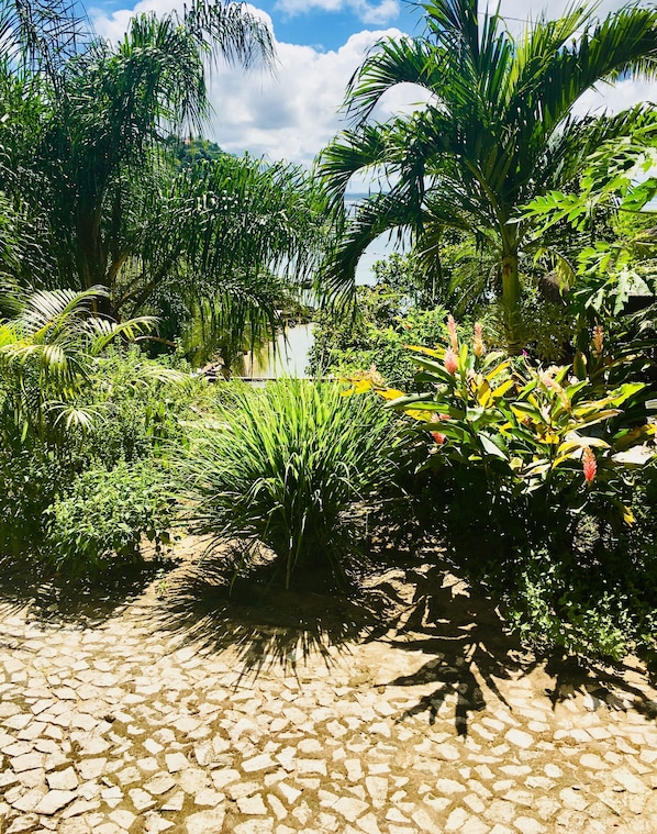 Garden view