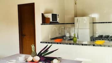 Fridge, microwave, stovetop, blender