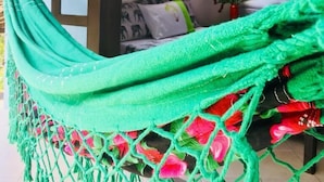 Un hamac avec un filet vert et des fleurs rouges, une porte en bois avec des panneaux de verre, et une vue sur un palmier à travers une fenêtre.