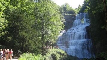 Une cascade entourée d’une végétation luxuriante et un groupe de personnes se promenant le long d’un sentier.