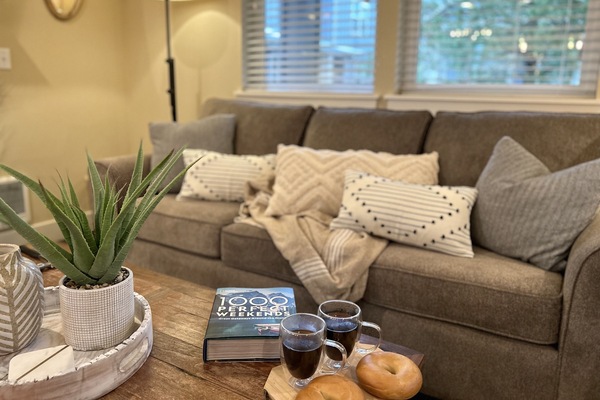 Una Smart TV, una chimenea, un reproductor de DVD, libros