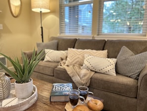 Smart TV, chimenea, reproductor de DVD y libros 