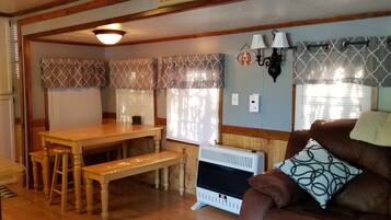 Smart TV, fireplace, DVD player, video library