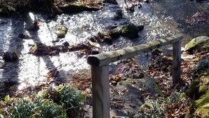 A natural outdoor setting with a stream, wooden fence, and surrounding foliage. - Serene Mountain Resort For 2 (Gatlinburg)