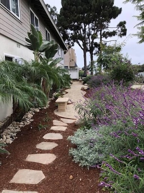 Stroll through the beautifully maintained garden, lined with lush plants and a stone pathway.