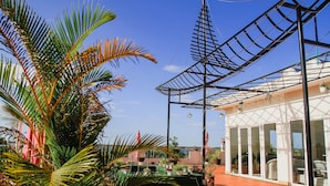 Ein überdachter Außenbereich mit Palmen, einer Pergola und einem Gebäude mit großen Fenstern.
