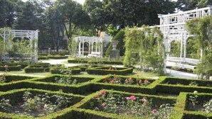 Jardín