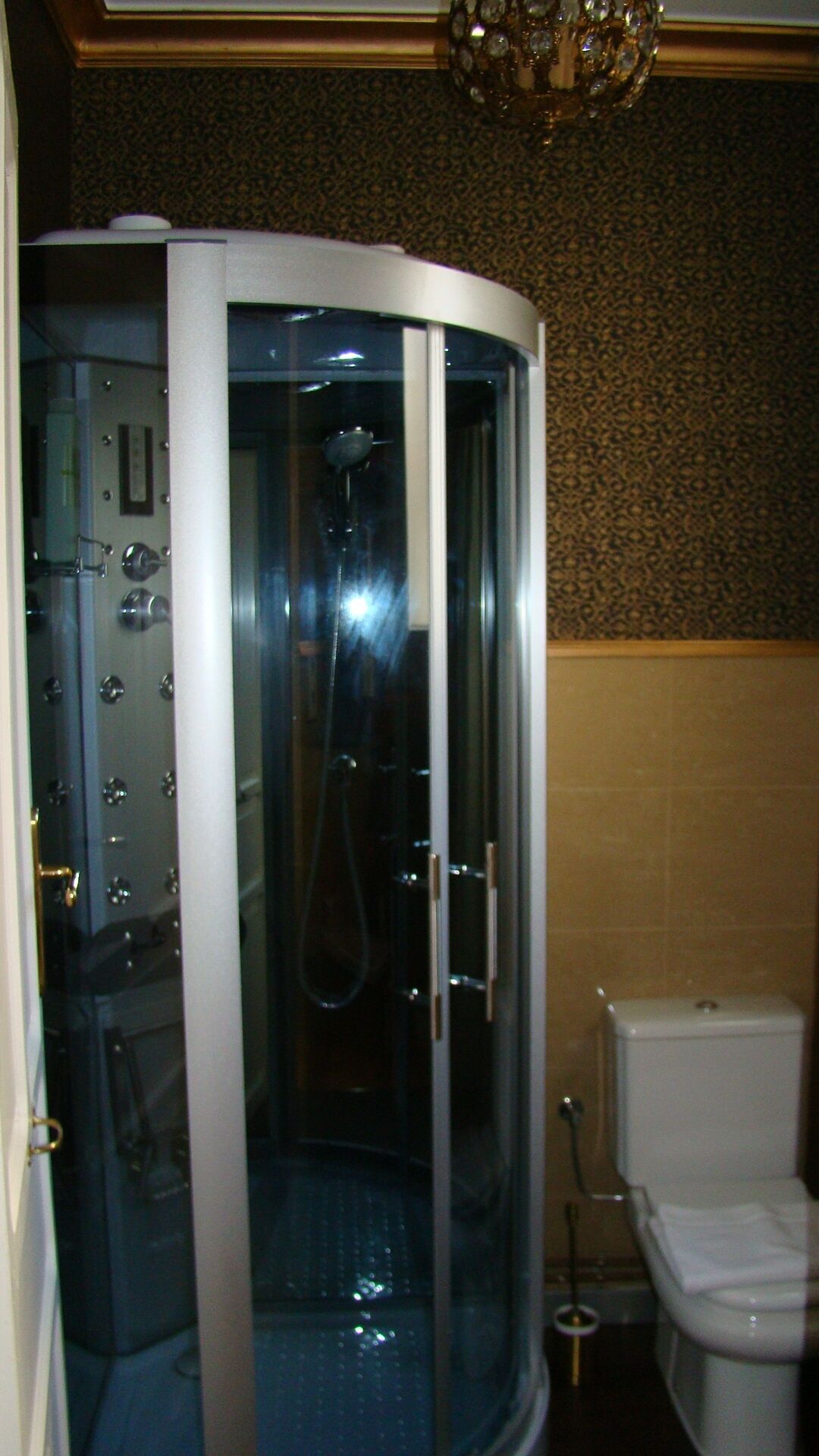 A glass-enclosed shower stall with a toilet to the right.