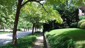 A tree-lined sidewalk with a stone curb, a grassy area, and an American flag.