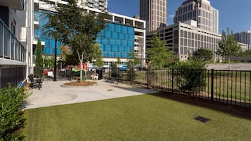 Pet-friendly amenities