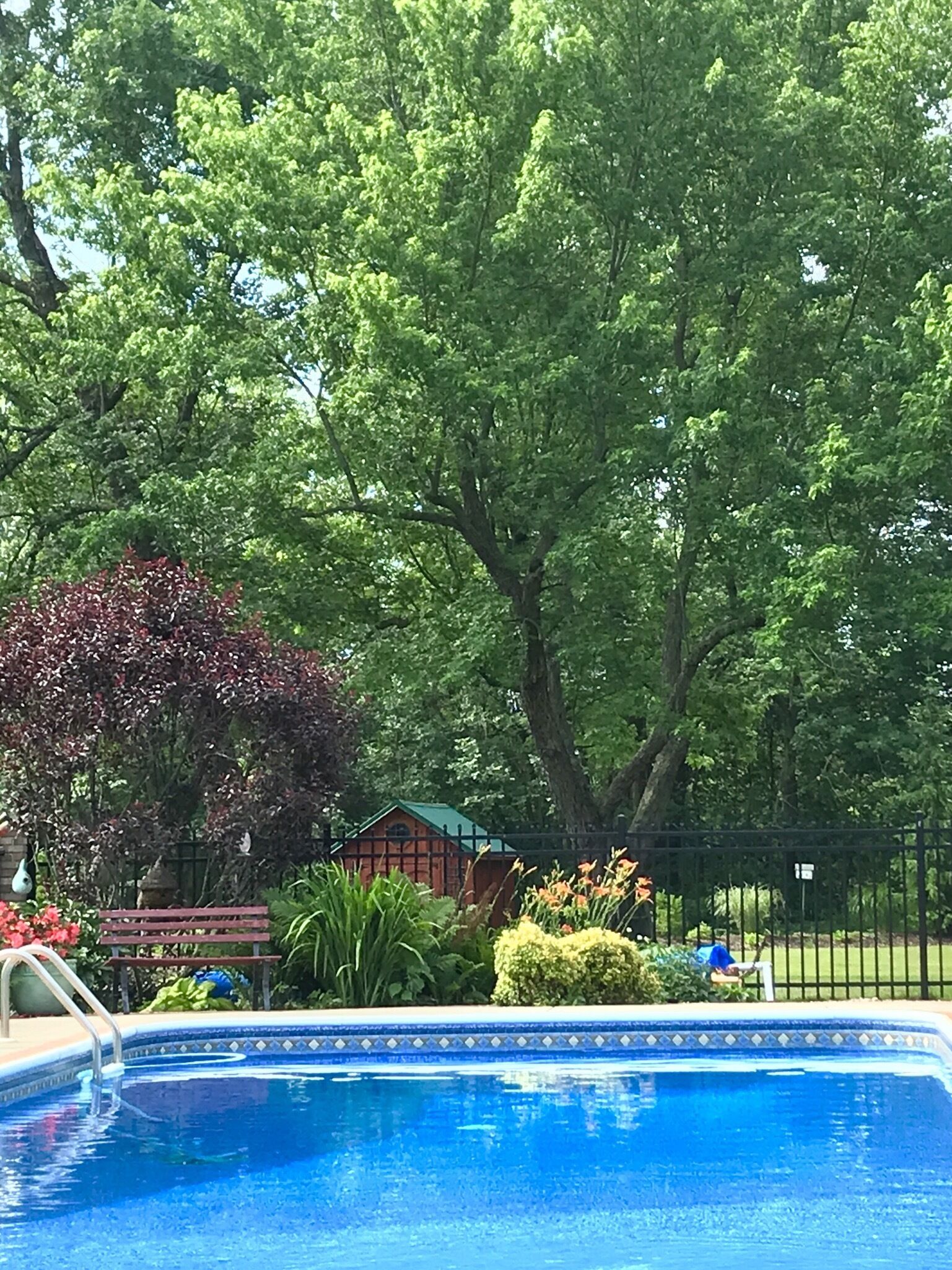 Een buitenzwembad en een verwarmd zwembad