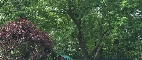 室外游泳池,恒温泳池