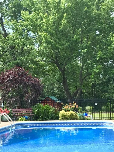 Carols Country Inn  Buffalo,NY