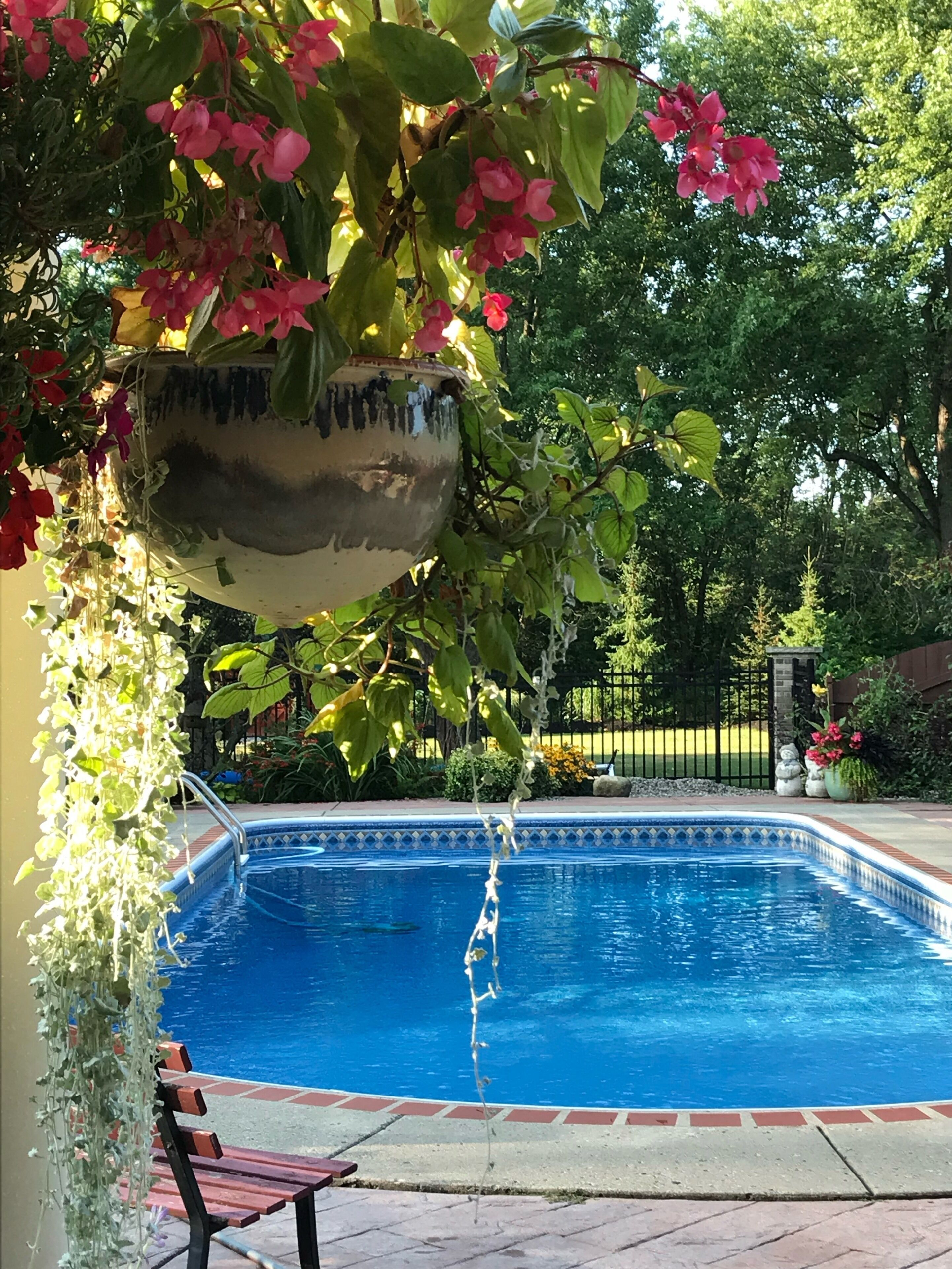 Piscina externa, piscina aquecida