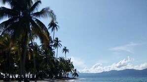 Una playa con palmeras y cielo despejado.