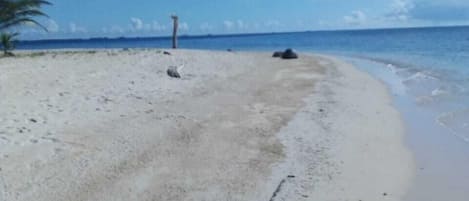 Rannalla, valkoista hiekkaa